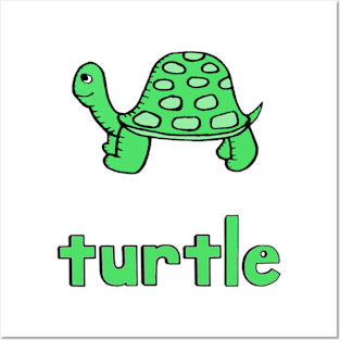 This is a TURTLE Posters and Art